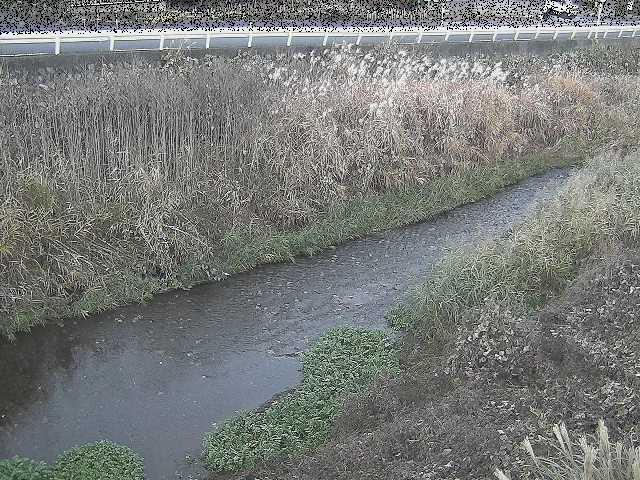 雑色付近のカメラ画像