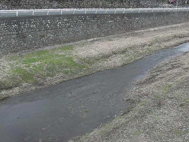 雑色付近のカメラ画像