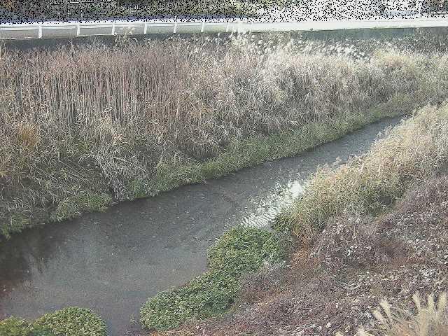 雑色付近のカメラ画像