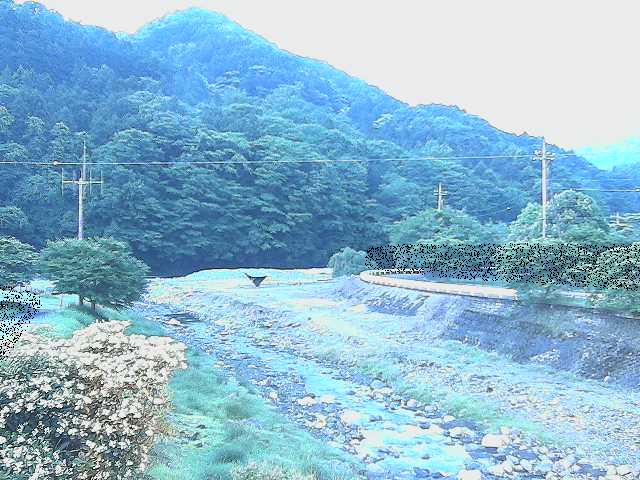 虫沢川 谷戸口橋付近のカメラ画像