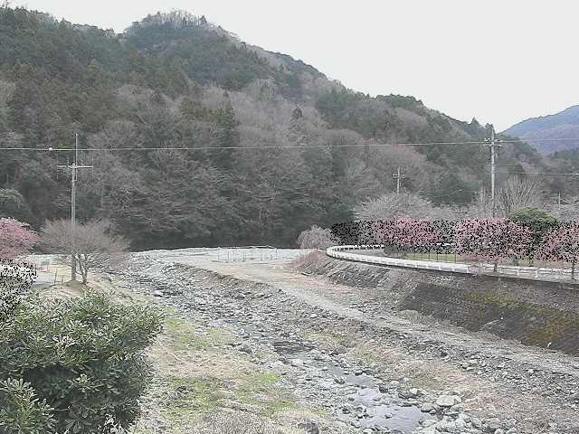 谷戸口橋付近のカメラ画像