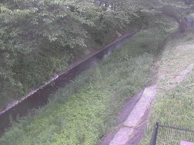 滝沢川 滝沢橋付近のカメラ画像