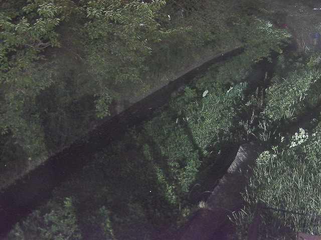 滝沢川 滝沢橋付近のカメラ画像