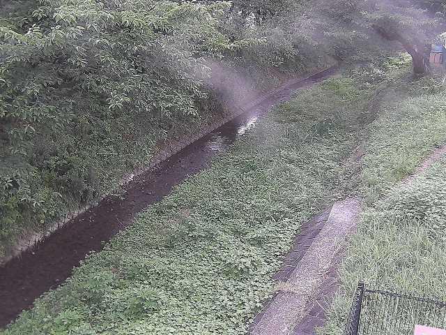 滝沢川 滝沢橋付近のカメラ画像