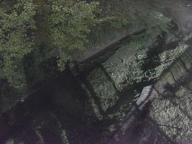滝沢川 滝沢橋付近のカメラ画像