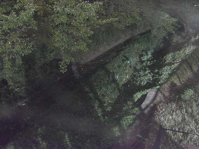 滝沢橋付近のカメラ画像
