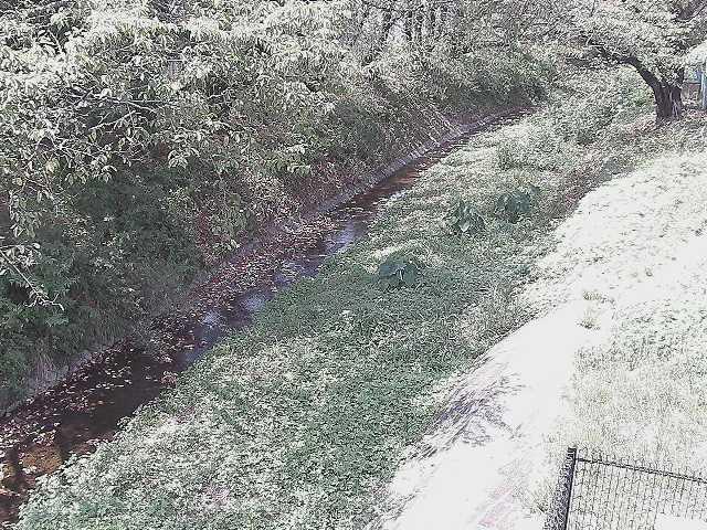 滝沢橋付近のカメラ画像