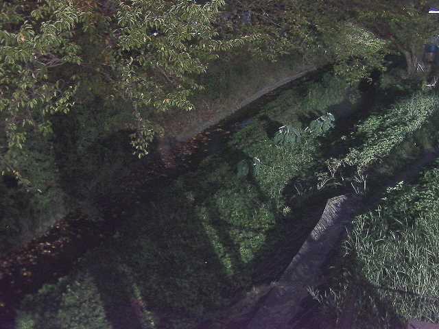 滝沢川 滝沢橋付近のカメラ画像
