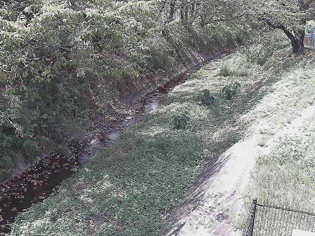 滝沢橋付近のカメラ画像