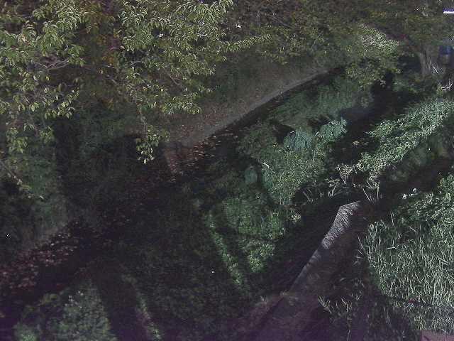 滝沢橋付近のカメラ画像