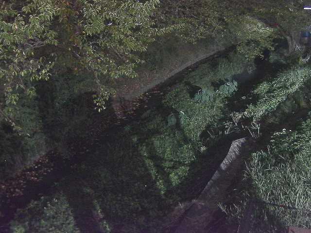 滝沢川 滝沢橋付近のカメラ画像