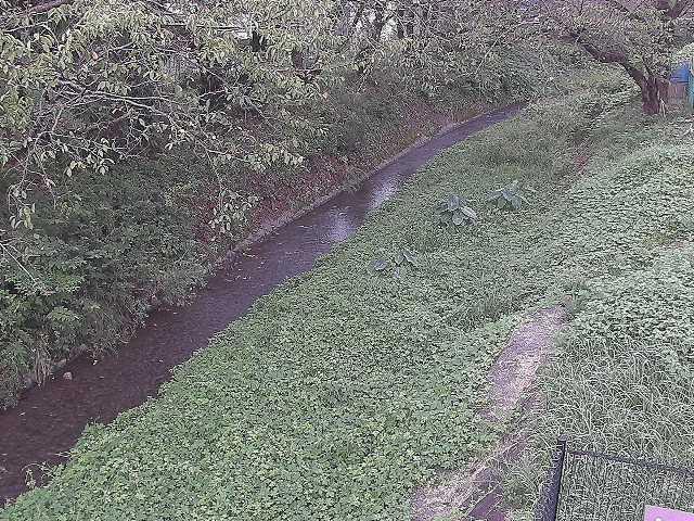 滝沢川 滝沢橋付近のカメラ画像