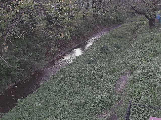 滝沢橋付近のカメラ画像