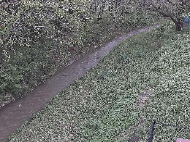 滝沢川 滝沢橋付近のカメラ画像