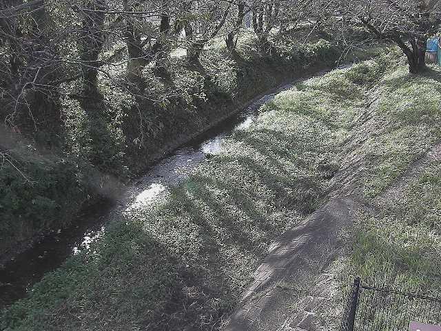 滝沢川 滝沢橋付近のカメラ画像