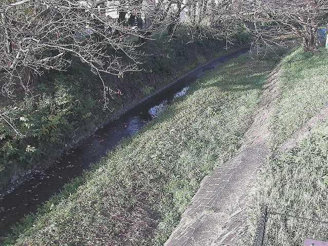 滝沢橋付近のカメラ画像