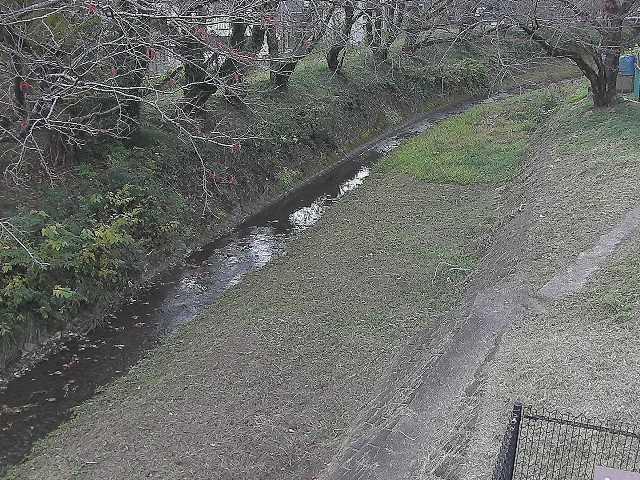 滝沢川 滝沢橋付近のカメラ画像