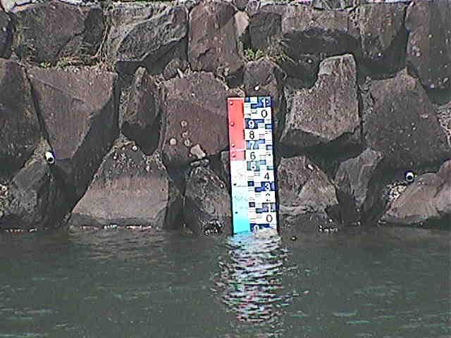 芦の湖付近(望遠)のカメラ画像