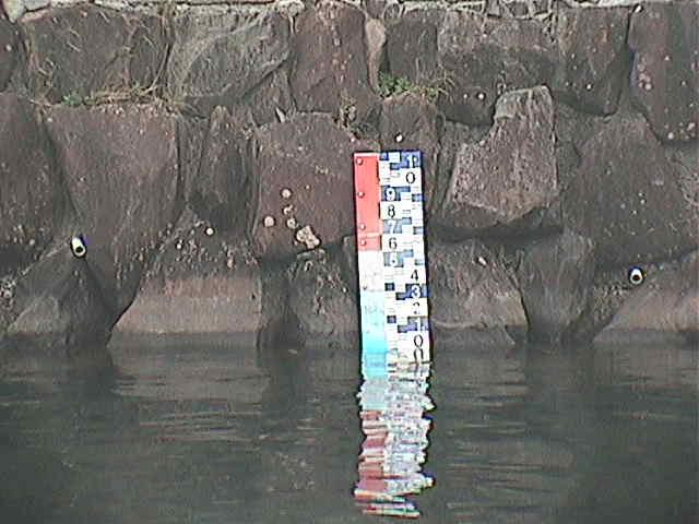 芦の湖付近(望遠)のカメラ画像