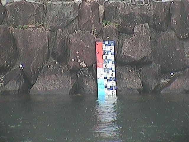 芦の湖付近(望遠)のカメラ画像