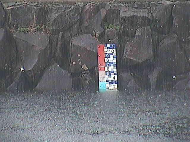 芦の湖付近(望遠)のカメラ画像