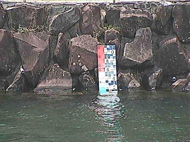 芦の湖 芦の湖付近(望遠)のカメラ画像