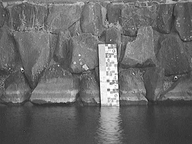 芦の湖付近(望遠)のカメラ画像