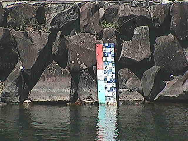 芦の湖 芦の湖付近(望遠)のカメラ画像