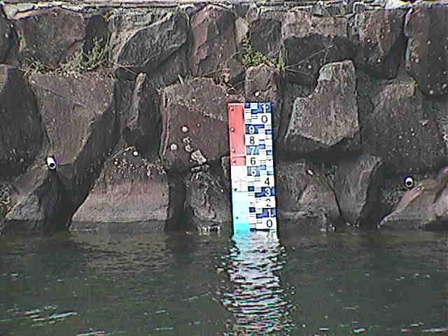 芦の湖付近(望遠)のカメラ画像