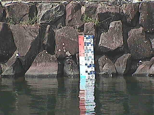 芦の湖付近(望遠)のカメラ画像
