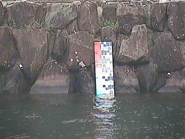 芦の湖 芦の湖付近(望遠)のカメラ画像
