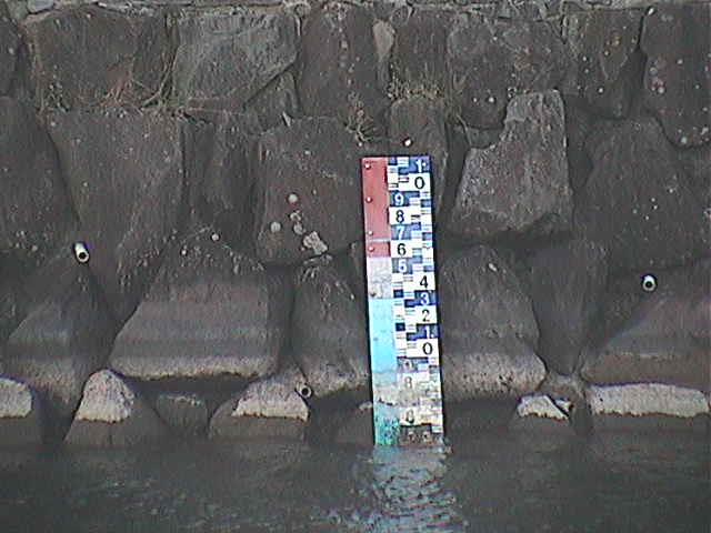 芦の湖付近(望遠)のカメラ画像