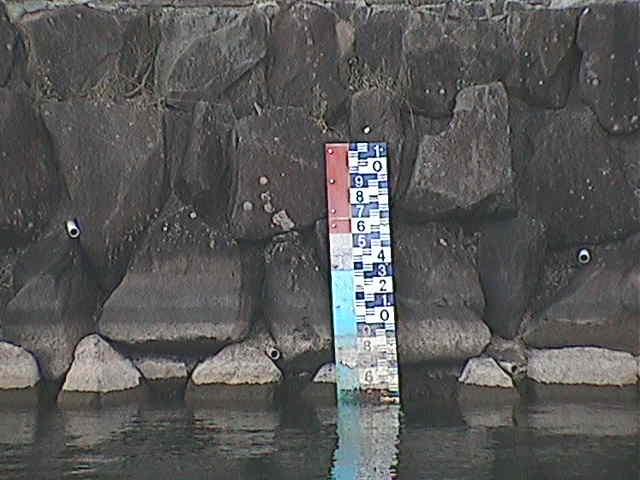 芦の湖 芦の湖付近(望遠)のカメラ画像