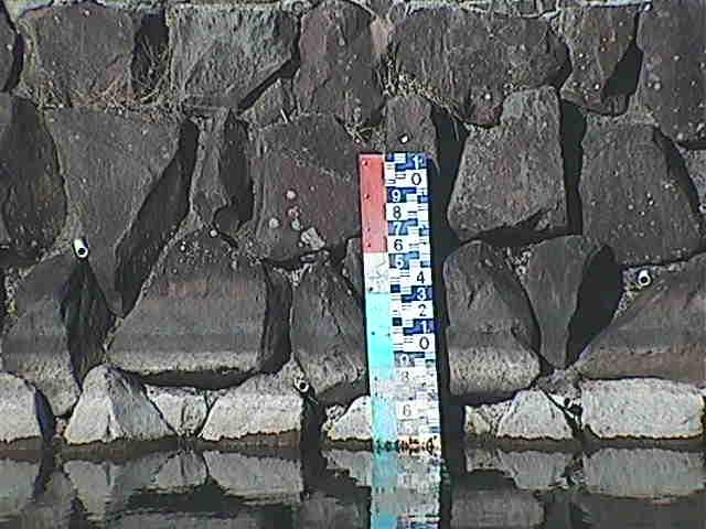 芦の湖付近(望遠)のカメラ画像