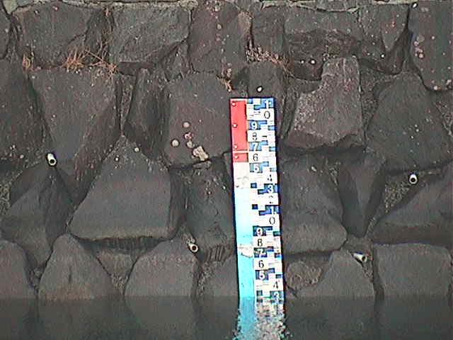 芦の湖 芦の湖付近(望遠)のカメラ画像