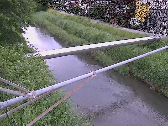 中村川 坂呂橋付近のカメラ画像