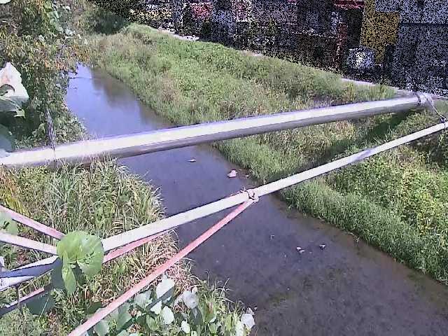 坂呂橋付近のカメラ画像