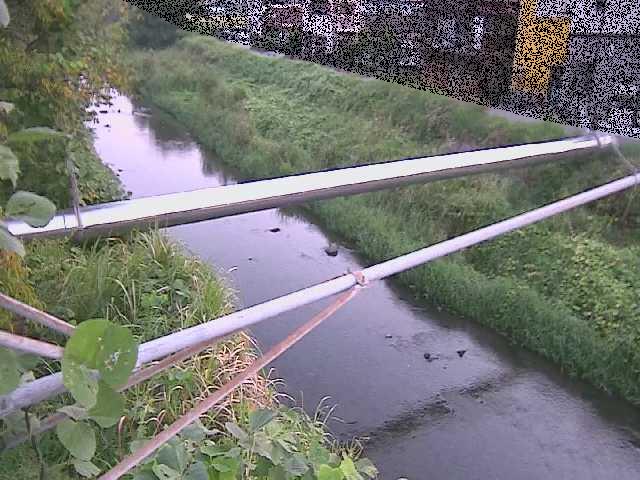 中村川 坂呂橋付近のカメラ画像