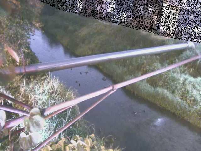 坂呂橋付近のカメラ画像