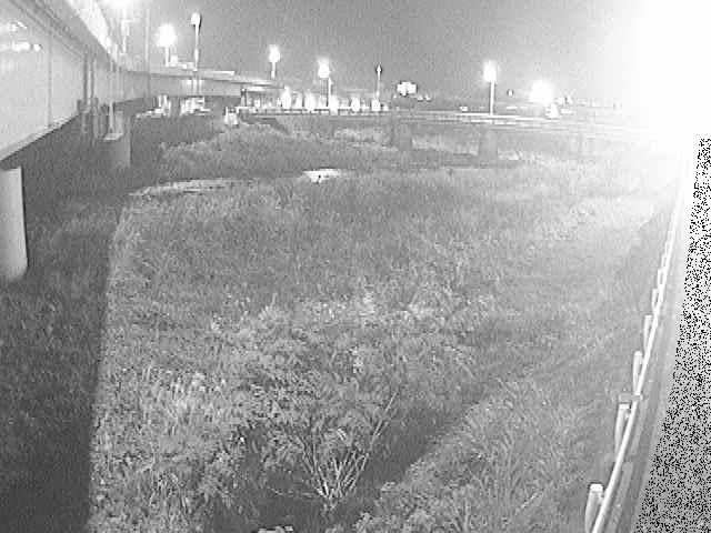 大窪橋付近のカメラ画像