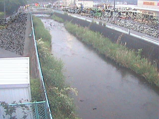 東洋橋付近のカメラ画像