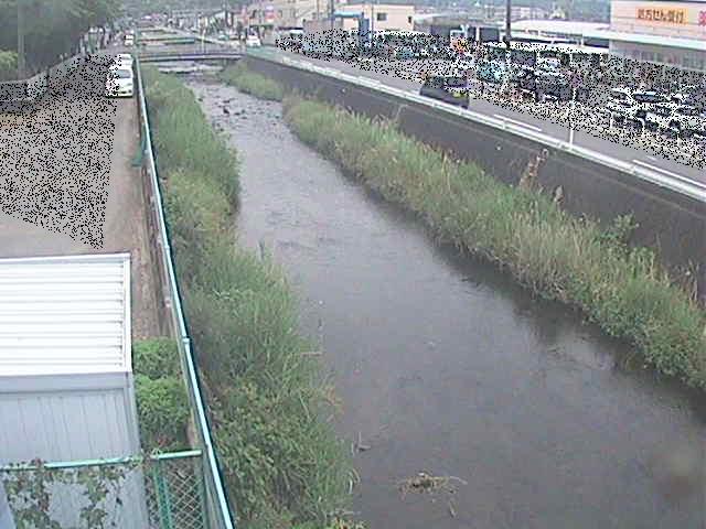 東洋橋付近のカメラ画像