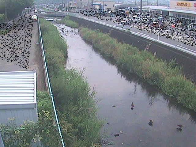 山王川 東洋橋付近のカメラ画像