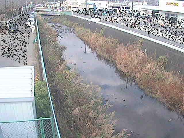 東洋橋付近のカメラ画像
