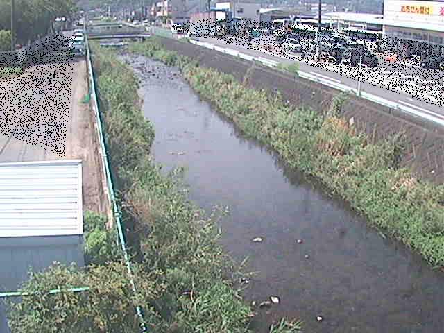 東洋橋付近のカメラ画像