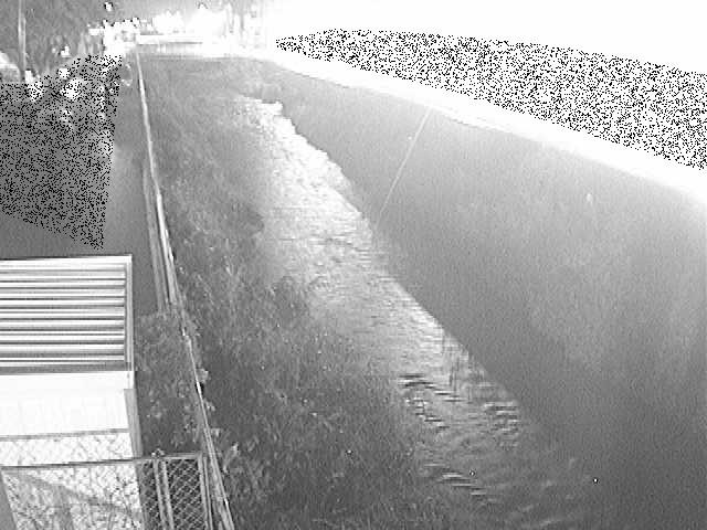 東洋橋付近のカメラ画像