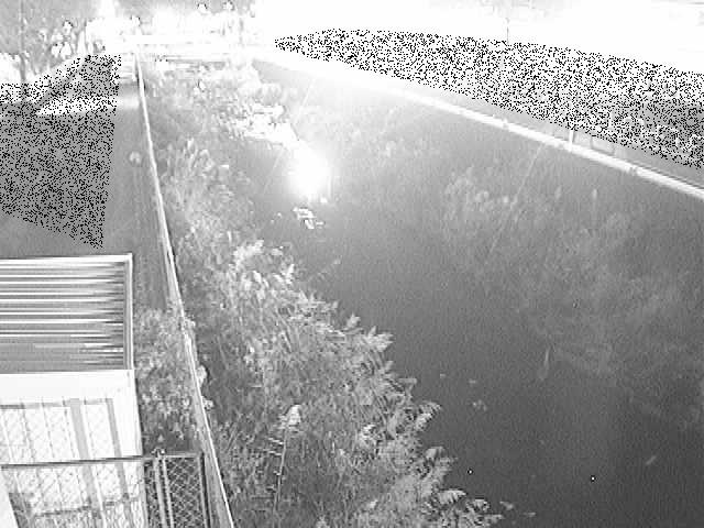 東洋橋付近のカメラ画像