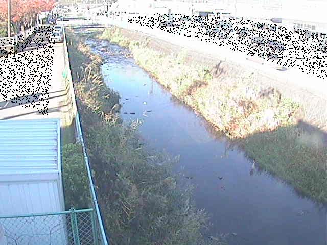 東洋橋付近のカメラ画像