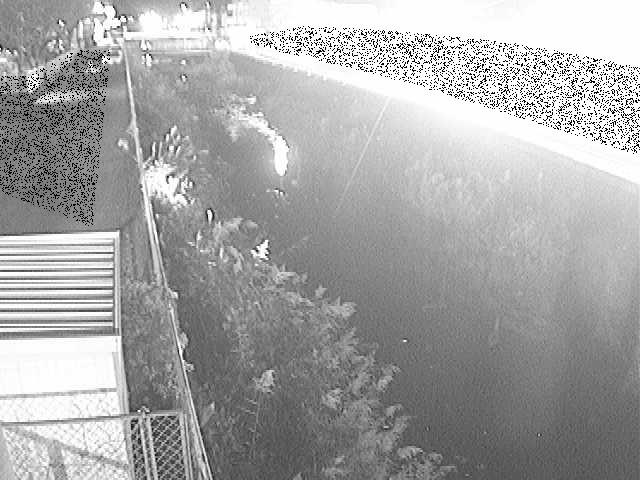 東洋橋付近のカメラ画像