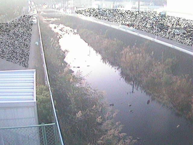 山王川 東洋橋付近のカメラ画像